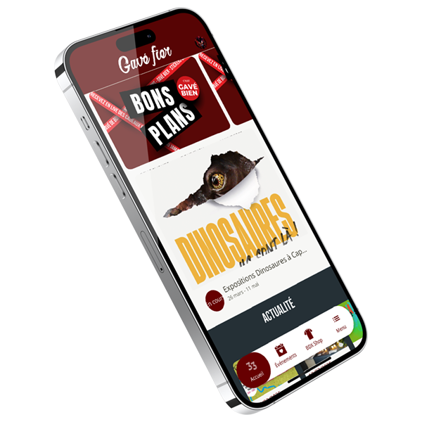 Digital Sparks, Application mobile et communication Bordeaux Digital Sparks, Application mobile et communication Bordeaux